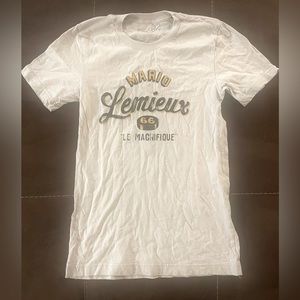 Steel City Mario Lemieux